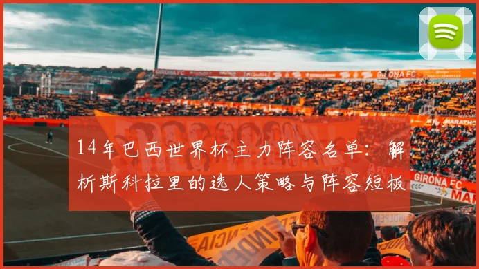 14年巴西世界杯主力阵容名单：解析斯科拉里的选人策略与阵容短板
