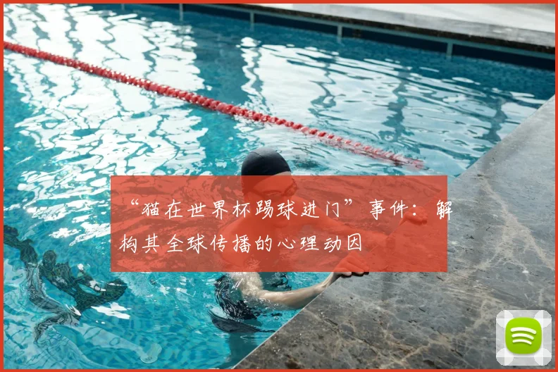 “猫在世界杯踢球进门”事件:解构其全球传播的心理动因