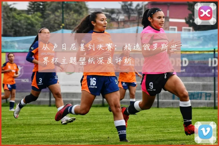 从卢日尼基到决赛:精选俄罗斯世界杯主题壁纸深度评析
