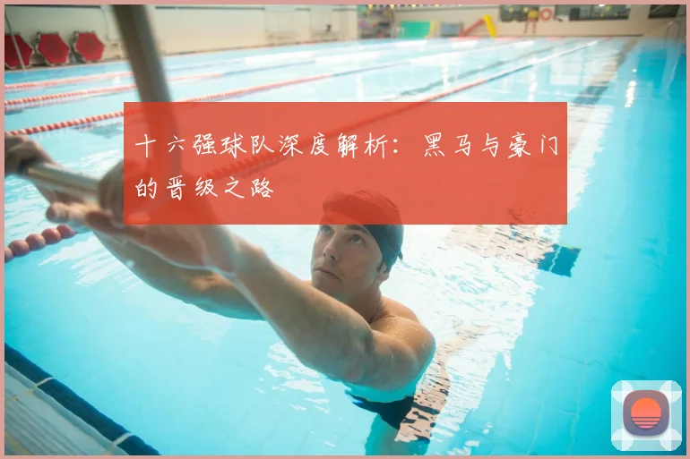 十六强球队深度解析:黑马与豪门的晋级之路