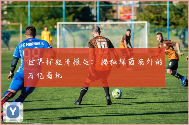 世界杯经济报告：揭秘绿茵场外的万亿商机