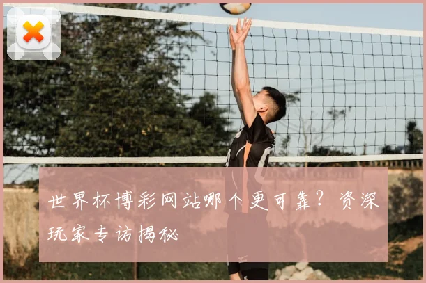 世界杯博彩网站哪个更可靠?资深玩家专访揭秘