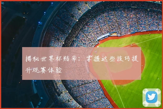 揭秘世界杯赔率：掌握这些技巧提升观赛体验