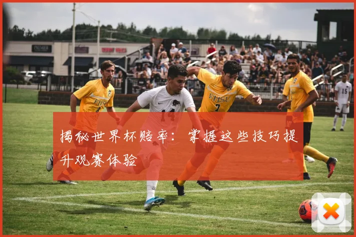 揭秘世界杯赔率：掌握这些技巧提升观赛体验