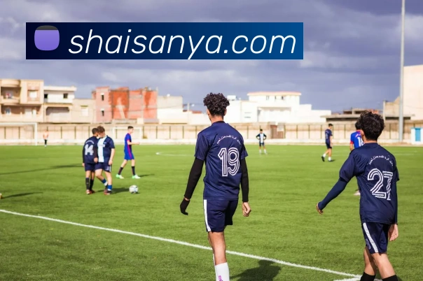 球友体育官网登录入口发展历程